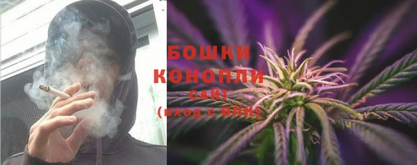 PSILOCYBIN Алексин