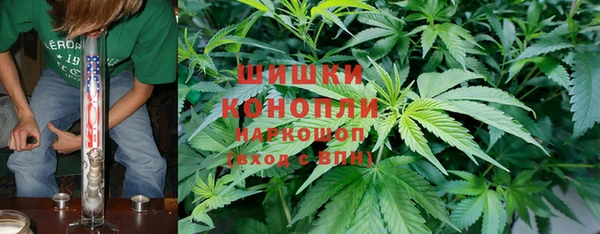 дмт Алзамай