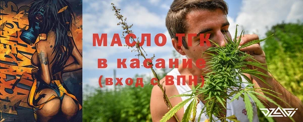 дмт Алзамай