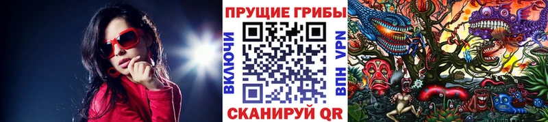 мега ссылки  Санкт-Петербург  Псилоцибиновые грибы прущие грибы 