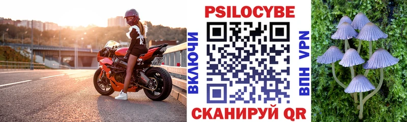 Галлюциногенные грибы мухоморы Санкт-Петербург